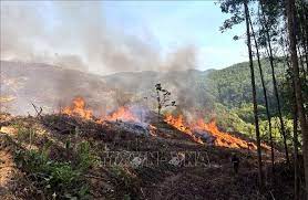 Để xảy ra cháy rừng, phá rừng địa phương đó phải chịu trách nhiệm